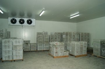 浙江蜜之源果业1000立方气调letou国际米兰