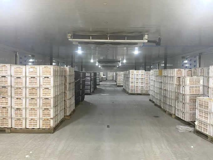 气调库的特点及优点有哪些？