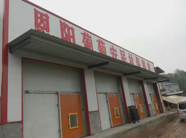 保鲜气调冷库