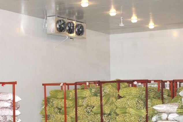建造100立方米蔬菜冷库大概需要多少钱