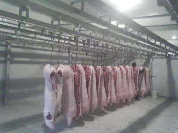 1000吨肉类低温冷冻库建造成本需要多少钱？