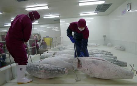 食品冷库设计不能过大也要符合实际要求