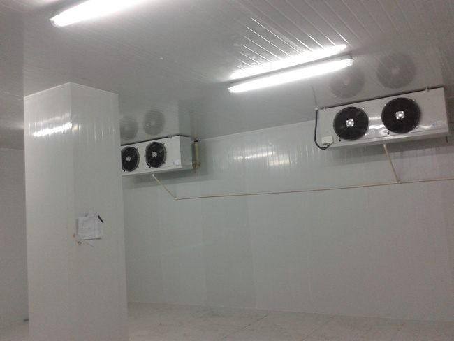 建造20吨冷库安装报价大概多少费用？