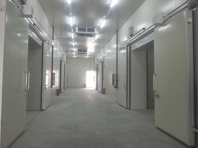 建造一个工业冷库成本费用大概多少？
